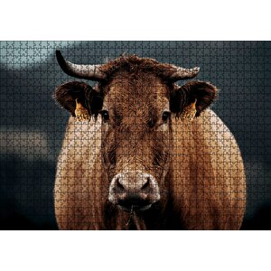 Kahverengi İnek Yakın Çekim Flu Arka Plan Puzzle Yapboz Mdf Ahşap 1000 Parça