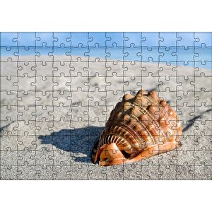 Kumsalda Dev Deniz Kabuğu Puzzle Yapboz Mdf Ahşap 120 Parça