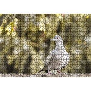 Kütük Üzerinde Gri Kumru Flu Arka Plan Puzzle Yapboz Mdf Ahşap 1000 Parça
