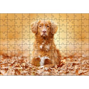Sonbahar Yaprakları Üzerindeki Kahverengi Köpek Puzzle Yapboz Mdf Ahşap 120 Parça
