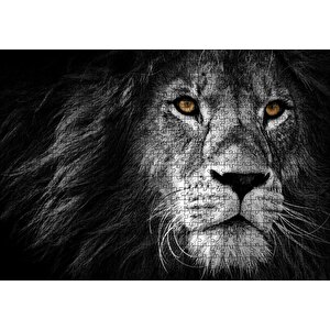 Yalnız Kral Erkek Aslan Yakın Portre Siyah Beyaz Puzzle Yapboz Mdf Ahşap 500 Parça