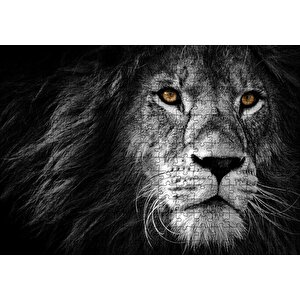 Yalnız Kral Erkek Aslan Yakın Portre Siyah Beyaz Puzzle Yapboz Mdf Ahşap 255 Parça
