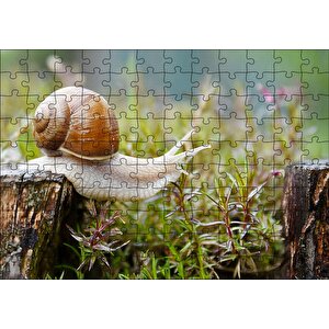 Kütükten Otların Üzerine İnen Salyangoz Puzzle Yapboz Mdf Ahşap 120 Parça