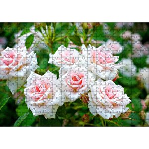 Beyaz Çalı Gülleri Görseli Puzzle Yapboz Mdf Ahşap 255 Parça