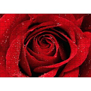 Yağmur Damlası Ve Güzel Gül Fotoğrafı Puzzle Yapboz Mdf Ahşap 255 Parça