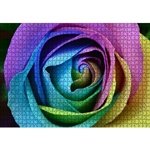 Rengarenk Gül Yakın Çekim Puzzle Yapboz Mdf Ahşap 1000 Parça