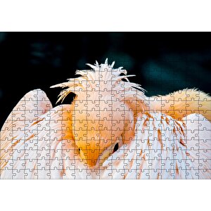 Kanatları Arasına Gömülmüş Pelikan Yakın Çekim Puzzle Yapboz Mdf Ahşap 255 Parça