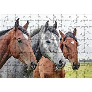 Çayırda Kahverengi Ve Gri Atlar Yakın Çekim Puzzle Yapboz Mdf Ahşap 120 Parça