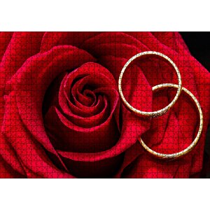 Yakın Plan Kırmızı Gül Ve Alyanslar Puzzle Yapboz Mdf Ahşap 1000 Parça