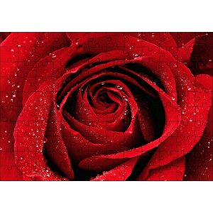 Yağmur Damlası Ve Güzel Gül Fotoğrafı Puzzle Yapboz Mdf Ahşap 120 Parça