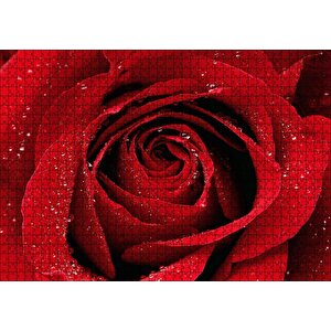 Yağmur Damlası Ve Güzel Gül Fotoğrafı Puzzle Yapboz Mdf Ahşap 1000 Parça