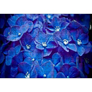 Mavi Taç Yapraklı Çiçekler Ve Beyaz Tohumları Puzzle Yapboz Mdf Ahşap 120 Parça