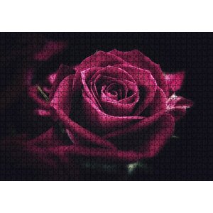 Kırmızı Kadife Gül Yakın Çekim Karanlık Arka Plan Puzzle Yapboz Mdf Ahşap 1000 Parça