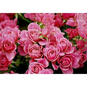 Pembe Güller Puzzle Yapboz Mdf Ahşap 500 Parça