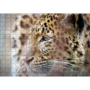 Muhteşem Güzellikteki Leopar Yakın Çekim Puzzle Yapboz Mdf Ahşap 255 Parça