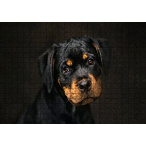 Sevimli Rottweiller Yavrusu Karanlık Arka Plan Puzzle Yapboz Mdf Ahşap 500 Parça