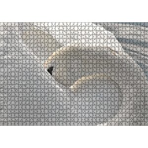 Tüylerini Temizleyen Zarif Beyaz Kuğu Puzzle Yapboz Mdf Ahşap 1000 Parça