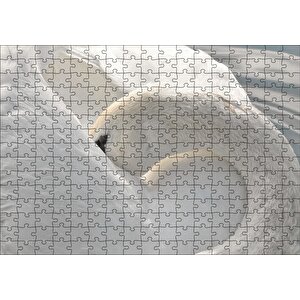 Tüylerini Temizleyen Zarif Beyaz Kuğu Puzzle Yapboz Mdf Ahşap 255 Parça