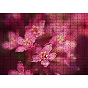 Sarı Tohumlu Kırmızı Çiçekler Yakın Çekim Puzzle Yapboz Mdf Ahşap 500 Parça