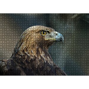 Keskin Bakışlı Kartal Yakın Profil Puzzle Yapboz Mdf Ahşap 1000 Parça