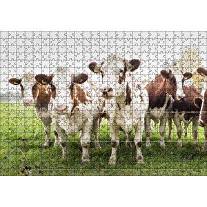 Çayırda Tel Örgünün Kenarında İnekler Puzzle Yapboz Mdf Ahşap 500 Parça