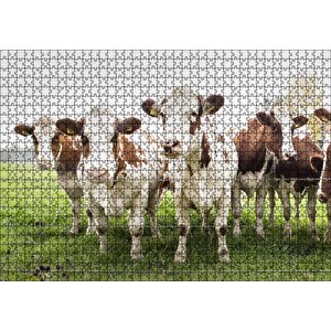 Çayırda Tel Örgünün Kenarında İnekler Puzzle Yapboz Mdf Ahşap 1000 Parça