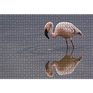Gölde Avlanan Flamingo Puzzle Yapboz Mdf Ahşap 1000 Parça