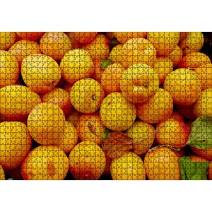 Taze Kayısılar Yanaşık Düzen Puzzle Yapboz Mdf Ahşap 1000 Parça