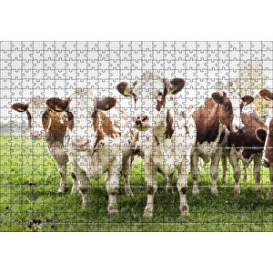 Çayırda Tel Örgünün Kenarında İnekler Puzzle Yapboz Mdf Ahşap 500 Parça