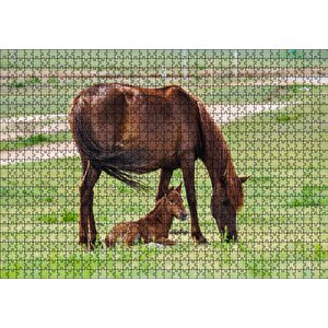 Çayırda Kahverengi Anne At Ve Sevimli Tayı Puzzle Yapboz Mdf Ahşap 1000 Parça
