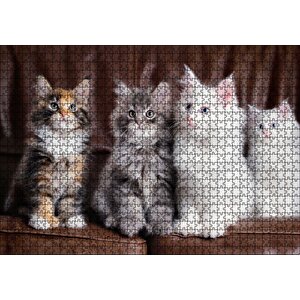 Kahverengi Deri Koltukta Sevimli 4 Kedi Puzzle Yapboz Mdf Ahşap 1000 Parça