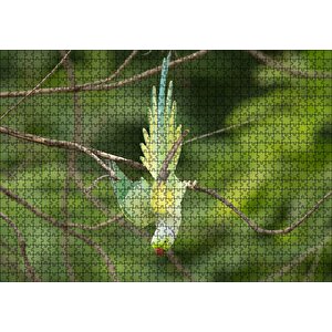 Daldan Aşağı Uçan Sarı Yeşil Papağan Puzzle Yapboz Mdf Ahşap 1000 Parça