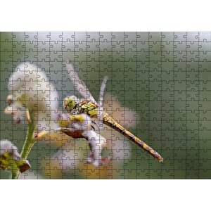 Daldaki Yusufçuk Yakın Çekim Puzzle Yapboz Mdf Ahşap 255 Parça