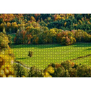 Ormanın Ortasındaki Yemyeşil Arazi Ve Yalnız Ağaç Puzzle Yapboz Mdf Ahşap 1000 Parça