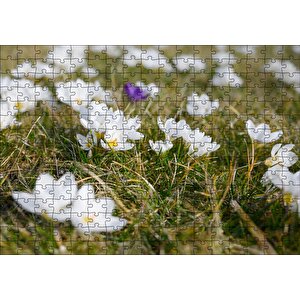 Çayırda Beyaz Çiğdem Çiçekleri Puzzle Yapboz Mdf Ahşap 255 Parça