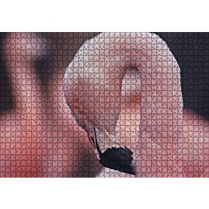Flamingonun Zarafeti Puzzle Yapboz Mdf Ahşap 1000 Parça