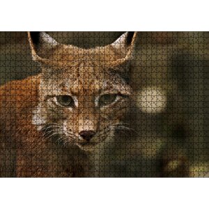 Vaşak Yakın Çekim Flu Arkaplan Puzzle Yapboz Mdf Ahşap 1000 Parça