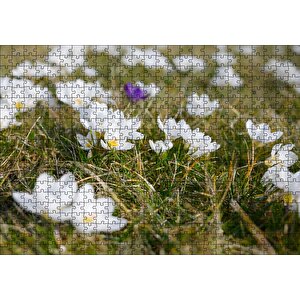Çayırda Beyaz Çiğdem Çiçekleri Puzzle Yapboz Mdf Ahşap 500 Parça