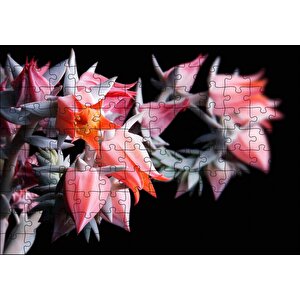 Kırmızı Bardak Çiçekleri Karanlık Arka Plan Puzzle Yapboz Mdf Ahşap 120 Parça