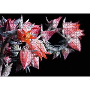 Kırmızı Bardak Çiçekleri Karanlık Arka Plan Puzzle Yapboz Mdf Ahşap 1000 Parça