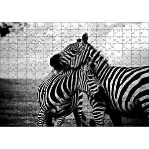Anne Zebra Ve Yavrusu Siyah Beyaz Puzzle Yapboz Mdf Ahşap 255 Parça