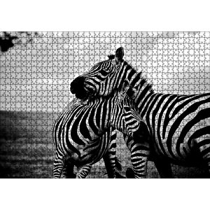 Anne Zebra Ve Yavrusu Siyah Beyaz Puzzle Yapboz Mdf Ahşap 1000 Parça