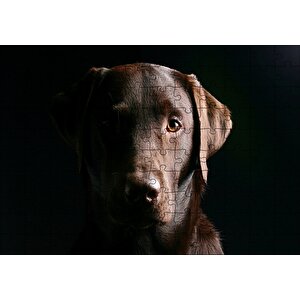 Av Köpeği Evcil Hayvanla Puzzle Yapboz Mdf Ahşap 120 Parça