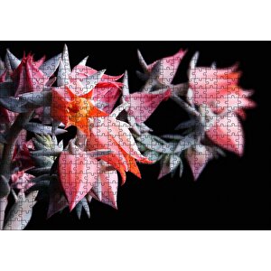 Kırmızı Bardak Çiçekleri Karanlık Arka Plan Puzzle Yapboz Mdf Ahşap 500 Parça