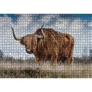 Bozkırda Kahverengi Yak Öküzü Ve Bulutlar Puzzle Yapboz Mdf Ahşap 1000 Parça