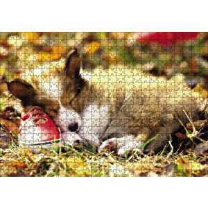 Uyuyan Yavru Köpek Puzzle Yapboz Mdf Ahşap 500 Parça