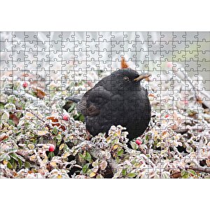 Donmuş Çalıların Arasındaki Karatavuk Puzzle Yapboz Mdf Ahşap 255 Parça