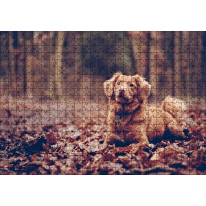 Sonbahar Yaprakları Üzerinde Oturan Kahverengi Köpek Puzzle Yapboz Mdf Ahşap 500 Parça