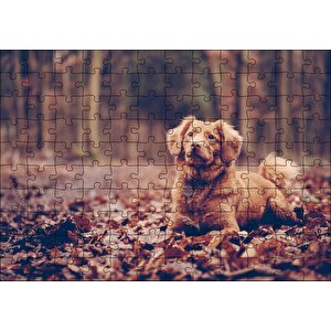Sonbahar Yaprakları Üzerinde Oturan Kahverengi Köpek Puzzle Yapboz Mdf Ahşap 120 Parça