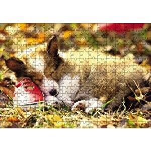 Uyuyan Yavru Köpek Puzzle Yapboz Mdf Ahşap 255 Parça